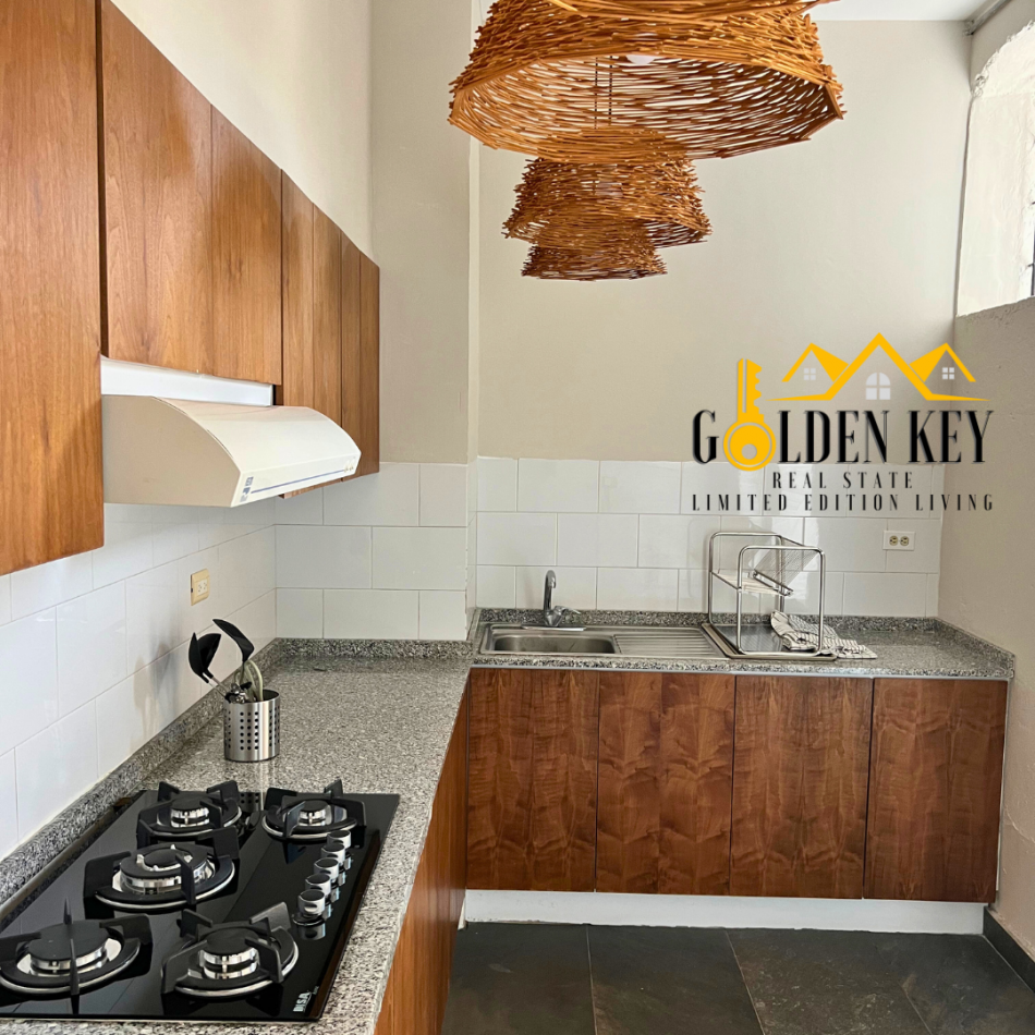 Loft industrial tipo Nueva York 6 Renta 