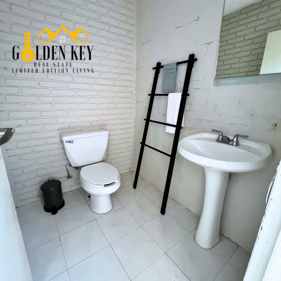 Loft industrial tipo Nueva York 6 Renta 