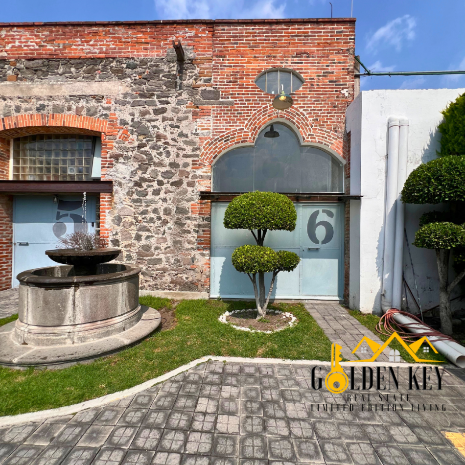 Loft industrial tipo Nueva York 6 Renta 