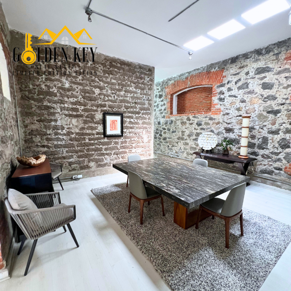 Loft industrial tipo Nueva York 6 Renta 