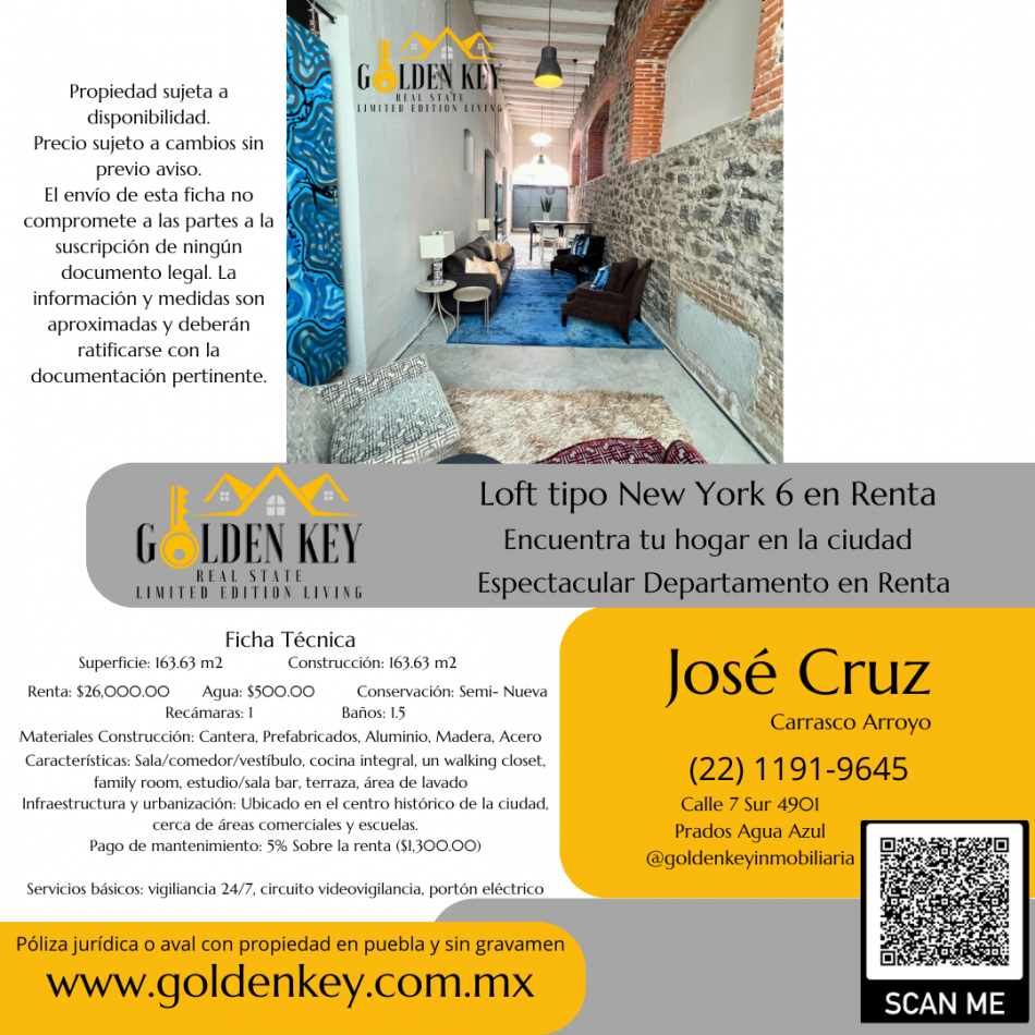 Loft industrial tipo Nueva York 6 Renta 