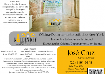Oficina Loft tipo New York 1