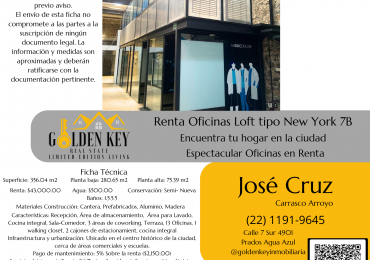 Renta Oficina Loft industrial tipo New York 7B
