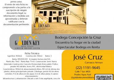 Renta Bodega Concepcion la Cruz 