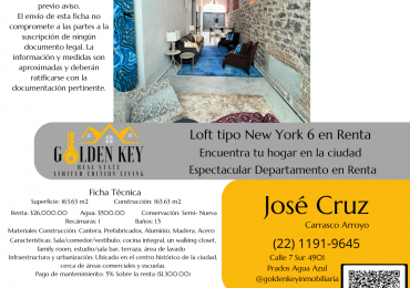 Loft industrial tipo Nueva York 6 Renta 